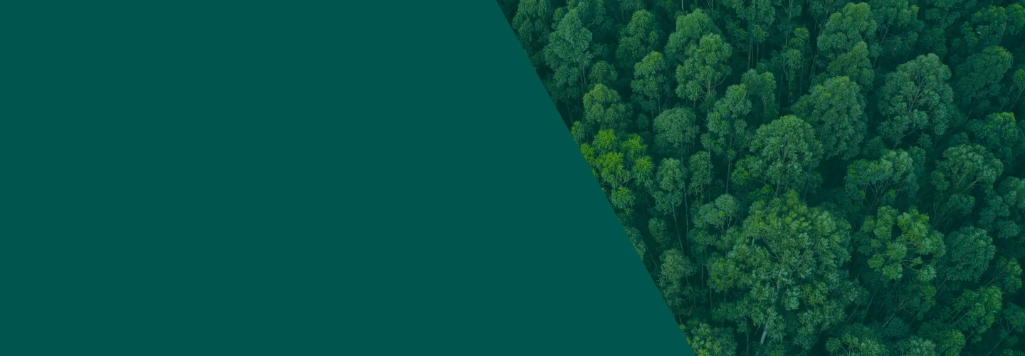 Eco-friendly background with green forest aerial view